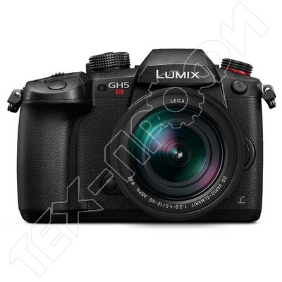  Panasonic Lumix DC-GH5S